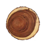 Sliced Wood Charger Plate Rental