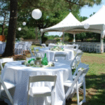 20' x 40' High Peak Frame Tent